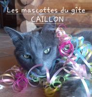 Au gîte de Saint Peyre Maison d'hôtes - Chambres d’hôtes Ribeyret