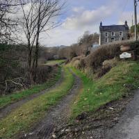 Countryside accommodation near Llanybydder - B&B Llangynllo