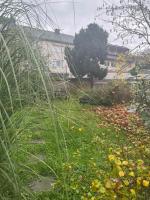 Geni Apartments - B&B Traben-Trarbach