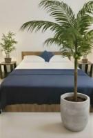 The Nature Resort - B&B Galle