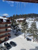 Bakuriani inn Apartment - B&B Bakuriani