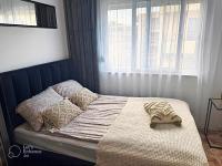 Appartement 1 Chambre avec Vue sur la Mer et Balcon