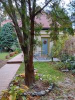 Bükkös Bird Apartman - B&B Szentendre