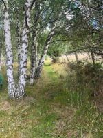 Charming cottage close to the Cairngorms - Bed and Breakfast Ballindalloch