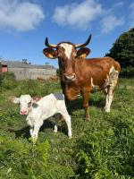 A Casiña - Ferienwohnung Mazaricos