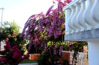 Apartaments A4 - B&B Dulcigno