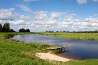 Ferienwohnung Vogelsang - Ferienwohnung Süderhöft