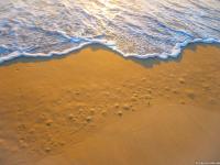 39 The Esplanade - Chambres d’hôtes Woodgate