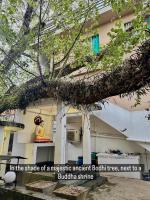 Dinewa Apartment - B&B Aluthgama