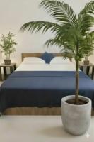 The Nature Resort - B&B Galle