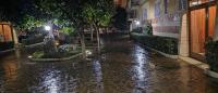 OASI - Vaticano 3Clima Netflix Wi-Fi Parking Garden - B&B Roma