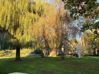 Maison pittoresque et cozy - Bed and Breakfast Bonnat