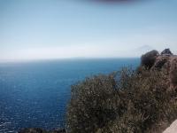 La Bouganville - B&B Sapri