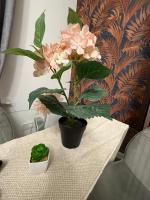 A&A Luxury Stay Rosedale - 4 Bed Residence - B&B Sunderland