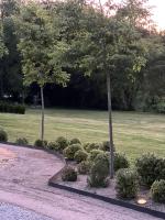 Three-Bedroom Apartment - High Floor