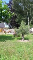 Gîte le Marronnier - Bed and Breakfast Saint-Mamet-la-Salvetat