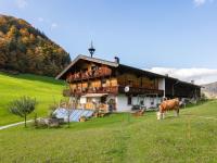 Tiroler Bergtraum Top 2 - B&B Wildschönau