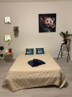 Studio cocooning à Colmar - proche Europapark et du Haut Koenigsbourg - B&B Colmar