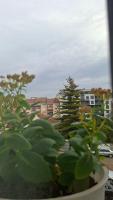 Grand Albi Apartament - B&B Gjakova