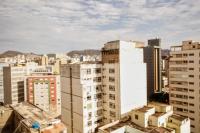 Capivara Urbana - B&B Belo Horizonte