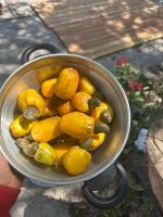 Beco do Kite - BG - B&B Barra Grande