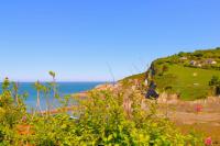 Beachfront Edwardian Coastal retreat - Seawood Villa - B&B Combe Martin