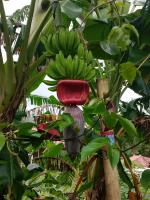 Luxury apartmеnt with private terrace in Altos del Maria - B&B Sorá