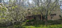 Ikigai homestay - B&B Bashist