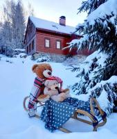 Holiday home in Smrzovka 51896 - Chambres d'hôtes Smržovka