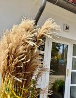 Hafenstraße 34 MEERverliebt - B&B Zingst
