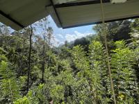 Tea Brook Lodge Ella - Bed and Breakfast Ella Town