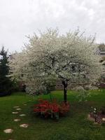 65 m2 full-foot apartment in a house with garden and private entrance - Bed and Breakfast Toruń