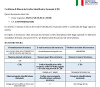 Ai Castelli Apartment - Locazione Turistica CIN IT58060C2FHNREG9A - B&B Colonna