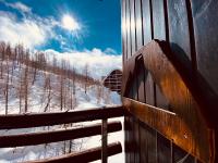 Charlotte Lodge 33 - B&B Cervinia