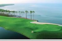 Bliss! Private Pool! Golf Cart! Sleeps 20! - Bed and Breakfast Destin