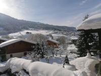 2 prvilb54 - Agreable studio coin-nuit idealement situe - Bed and Breakfast Praz-sur-Arly