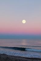 Timo e Lavanda - B&B Albenga