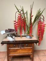 Hotel La Posada del Angel - B&B San Salvador