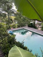 Pool amid the green - Bed and Breakfast Gaspar