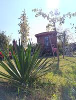 Roulotte Lou Gregau - Ferienwohnung Saintes-Maries-de-la-Mer