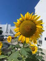 CASA RETINTO - B&B Vejer de la Frontera