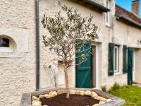 Voilà Le Logat - Chambres & Gîtes - B&B Sainte-Gemme