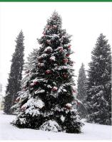 Single Room with Private Bathroom