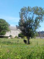 Gîte de charme Floréales Les Myosotis - B&B Asnelles