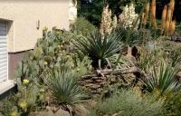 Haus am Aartalsee - B&B Bischoffen