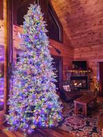 Cardinal Treehouse - Ferienwohnung Bryson City