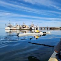 Casa Tamarindo - Chambres d’hôtes Puerto San Carlos
