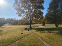Restored 1900s Historic Home - Jonesboro, VA - B&B Roseland