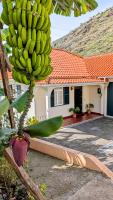 Banana Lovers - Farm View - B&B Ribeira Brava