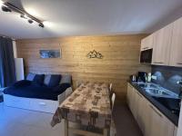 Appartement moderne 2 pièces au pied des pistes à Auris en Oisans - Chambres d'hôtes Auris